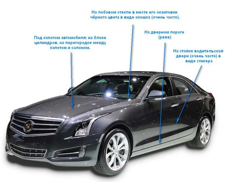 Правильная онлайн проверка комплектации по VIN. Как узнать комплектацию автомобиля по ВИН коду бесплатно