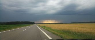 Куда поехать в автопутешествие? Беловежская пуща: сердце дикой природы