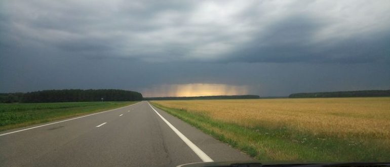 Куда поехать в автопутешествие? Беловежская пуща: сердце дикой природы