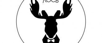 Преимущество хостелов над отелями